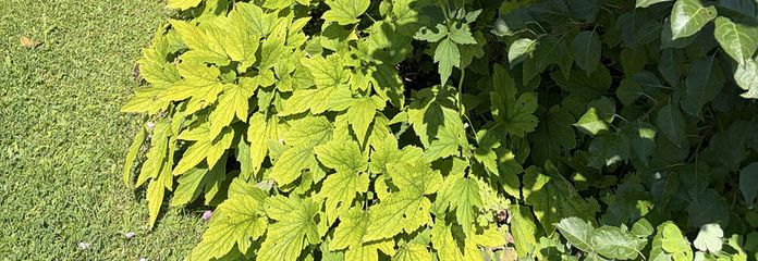 3,5 Zi. Gartenwohnung am Tegernsee