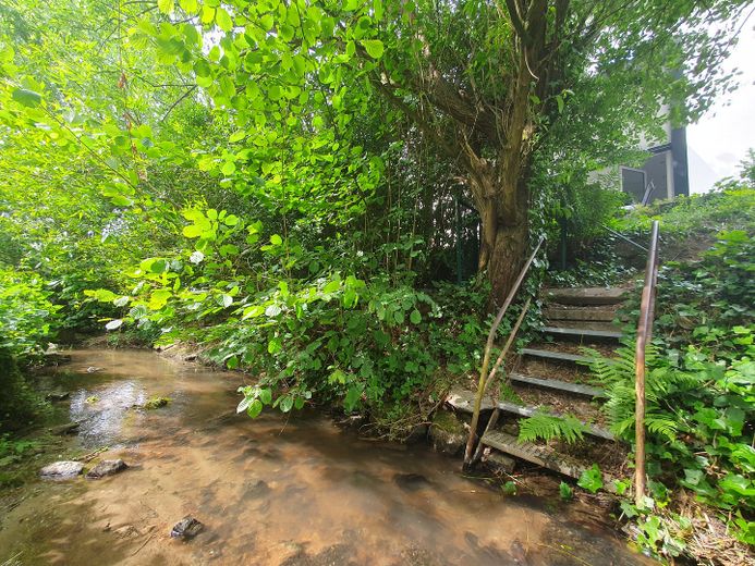 Bachlauf - Blick auf Terrasse