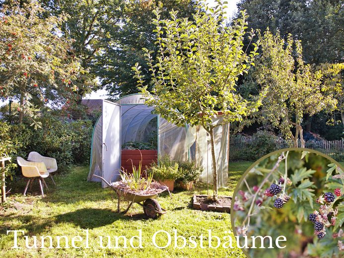 Wohnen und Arbeiten: Haus mit Praxis auf ca. 2400qm Grundstück – Foto 11