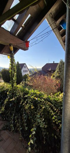 Blick von der Terrasse