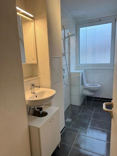 Stilvolle und möblierte 2-Zimmer-Wohnung in Stuttgart-West (flexible Befristung möglich) – Bad
