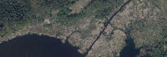 IMMOBERLIN.DE - Großes Grundstück mit 60 Meter Uferlinie für forstwirtschaftliche Zwecke
