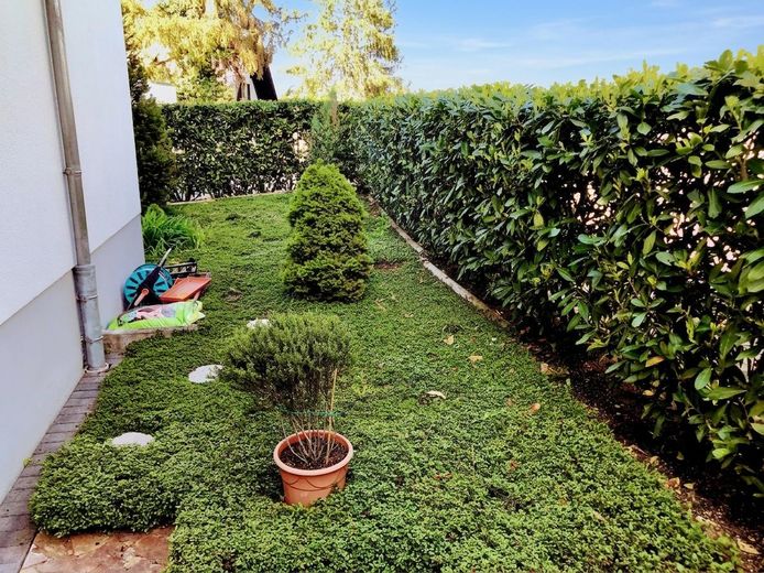 Vivienda acogedora en la ladera: luminosa, tranquila, accesible, con jardín y balcón – Garten neben der Terrasse 