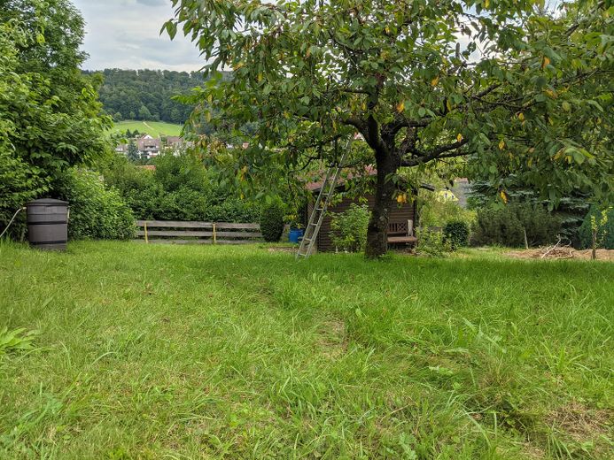 Garten mit Schuppen