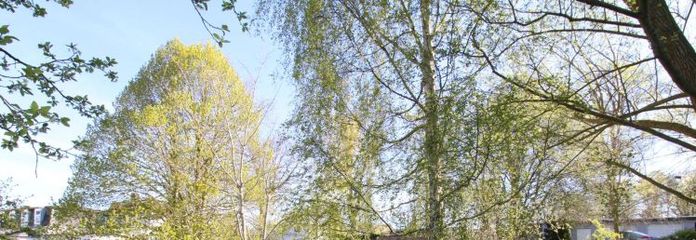+++ Проєктна територія з потенціалом розвитку: земельна ділянка 2.500 м² у Крьопеліні поблизу Ростока +++