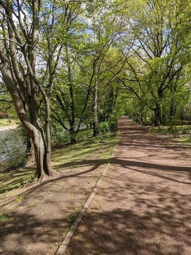 Bezpośrednio nad kanałem Landwehrkanal – jasne mieszkanie 1-pokojowe z balkonem, wolne od zaraz (bez prowizji) – Umgebung Landwehrkanal