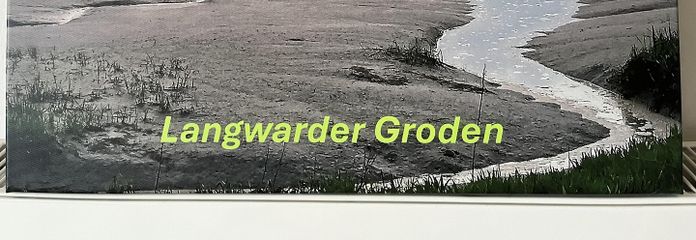 deutschlandweites Siegerbild