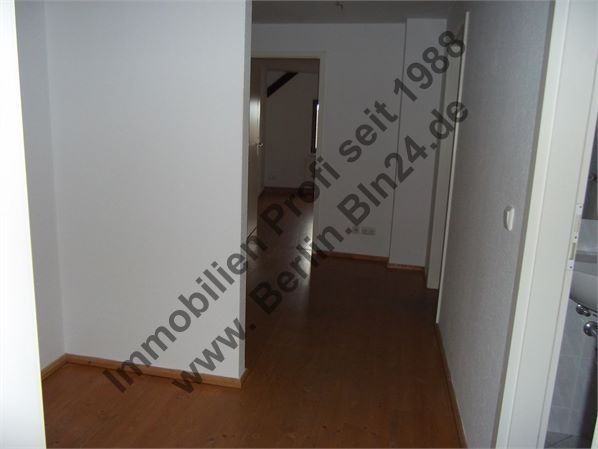 Halle + frisch renovierte Wohnung, WG tauglich – DG mitte Flur (2)