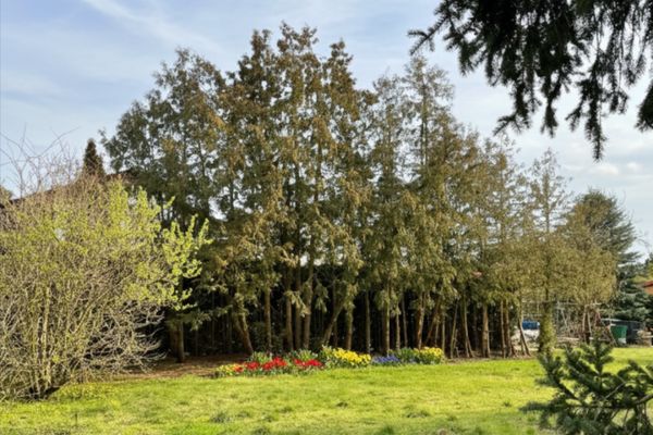 Biesdorf Süd! Terreno edificabile con ottimi collegamenti