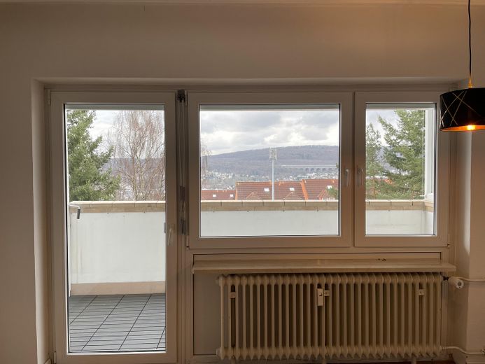 Wohnzimmer Fenster