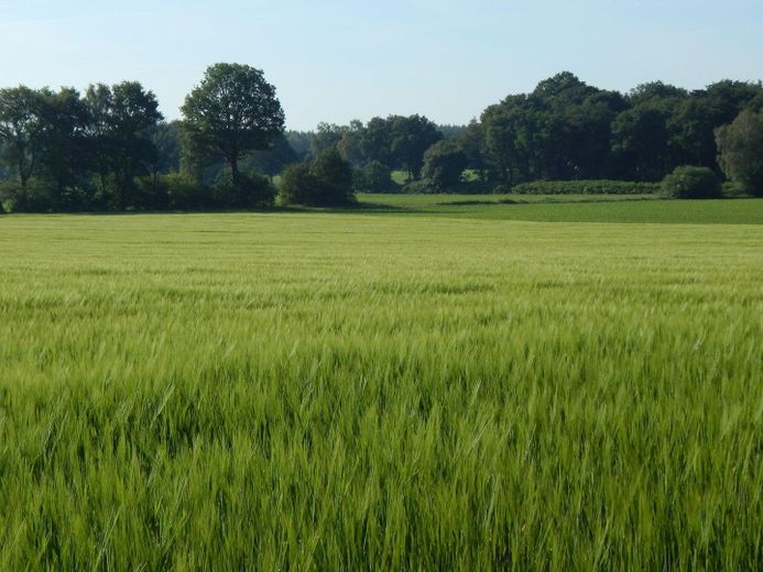 Ansicht von der Auffahrt Osten