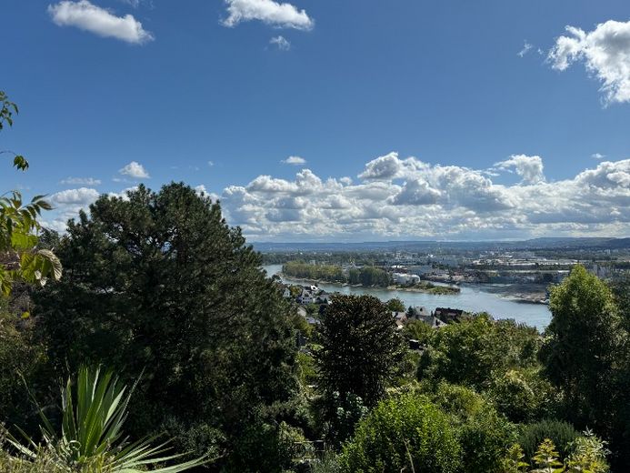 Ihr Rheinblick 1