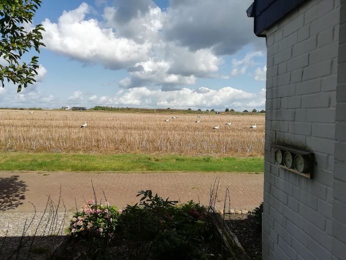 Blick aus der Küche