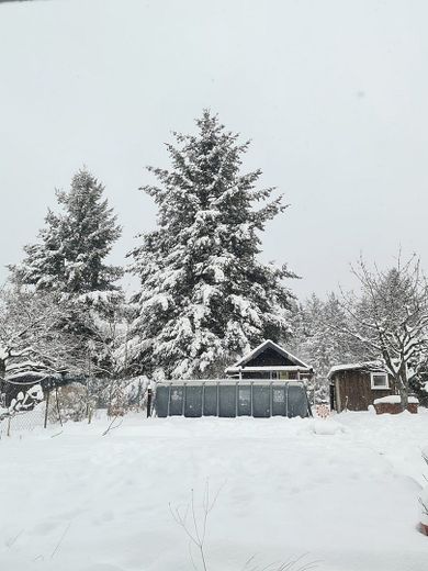 2 großzügige Wohnhäuser auf 2000m² Grundstück mitten im Pfälzer Wald – Foto 4