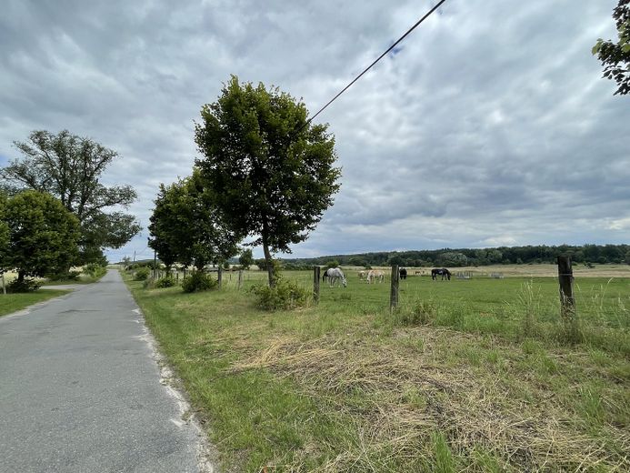 Zmodernizowany dom bliźniaczy przy obszarze chronionego krajobrazu / bez prowizji – Neu-Langerwisch