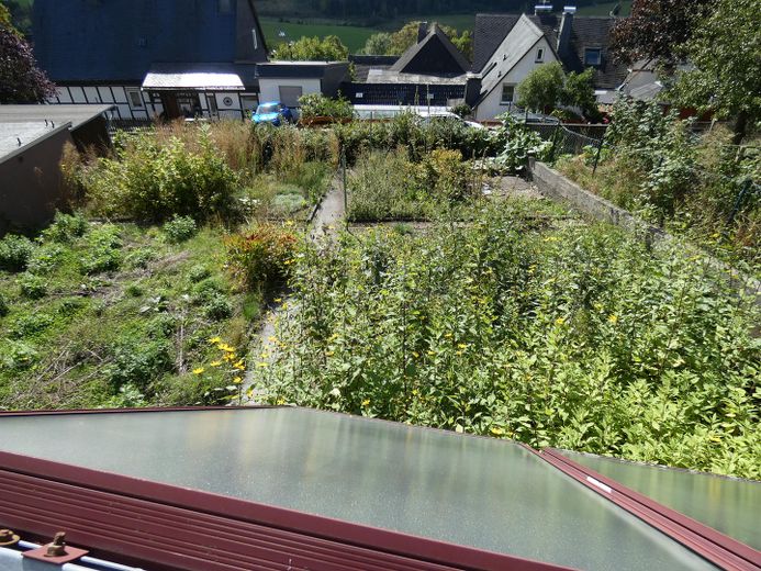 Mehrfamilienhaus mit Südlage und traumhaftem Ausblick – Garten