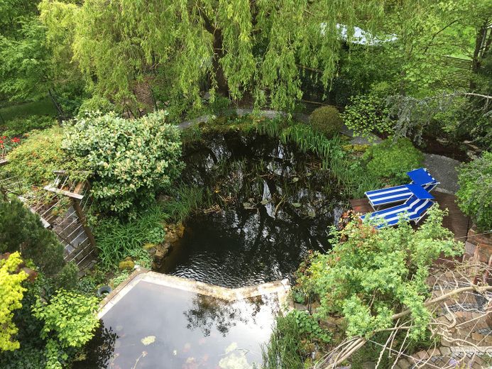Am Waldrand gelegenes Einfamilienhaus mit ELW und parkähnlichem Garten – Blick von ELW auf Garten