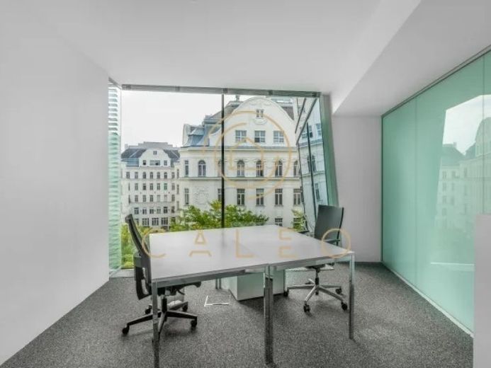 CALEO ¦ Bezirk 7 ¦ Zentrum ¦ flexibel + sofort bezugsfertig ¦ all inclusive ¦ PROVISIONSFREI – Foto 1