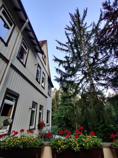 Traumhafte Aussichten  RESERVIERT  großzügig - Stellplatz – Haus Westseite