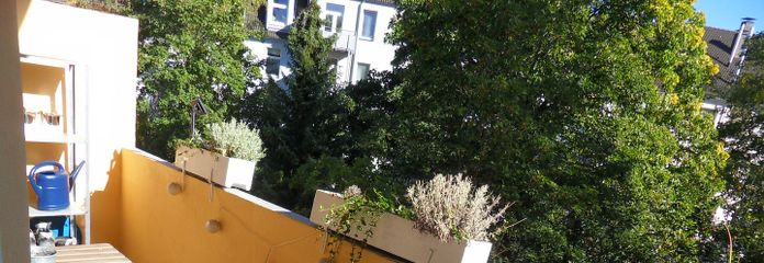 Kreuzviertel!!! Piękne mieszkanie w starej kamienicy z 3,5 pokojami i BALKONEM OD POŁUDNIOWEGO ZACHODU – Balkon