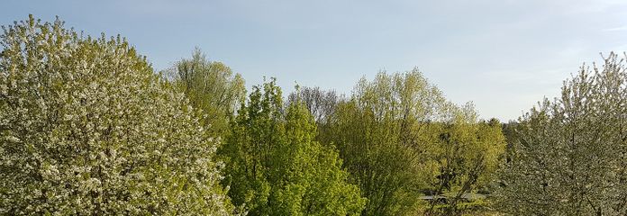 fantastischer Blick vom Balkon