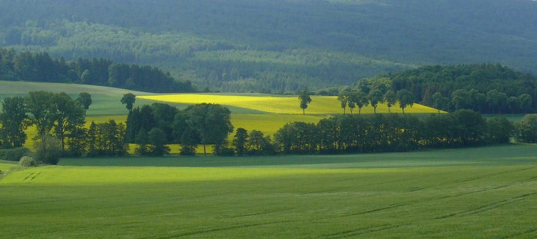Landschaft bei Bergfreiheit
