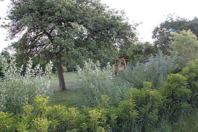 Waldgarten