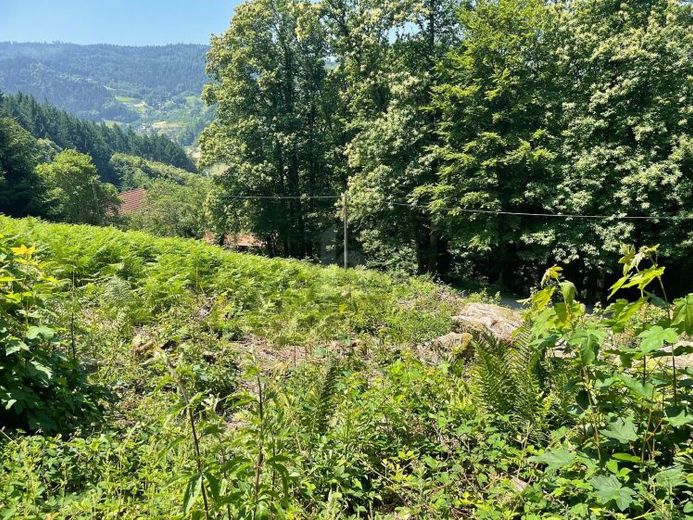 ERSCHAFFEN SIE IHREN WOHNTRAUM IM GRÜNEN – Foto 1