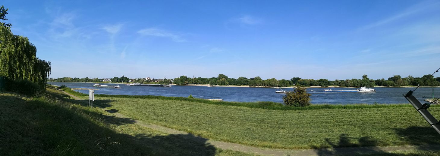 Rhein