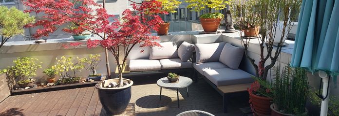 Aantrekkelijk licht 3-kamerappartement in het centrum van Darmstadt met uitzonderlijk dakterras – Terrasse, Blick von Whg