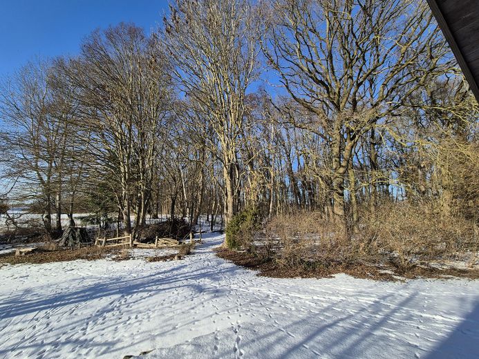 Landhaus mit Wintergarten und viel Nebengelaß wahlweise mit 2,8ha Wald dahinter – Blick vom Haus zum Waldeingang