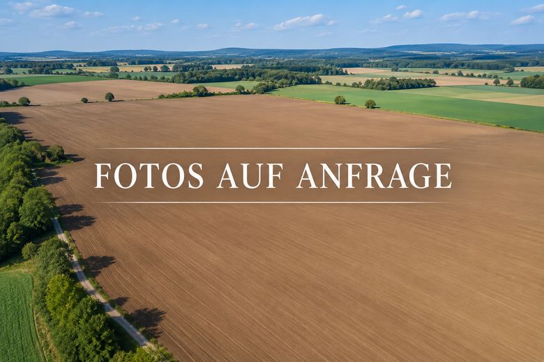 ALMAN SINIRINA YAKIN 118 HA YÜKSEK KALİTELİ TARIM ARAZİSİ – Fotoğraf 1