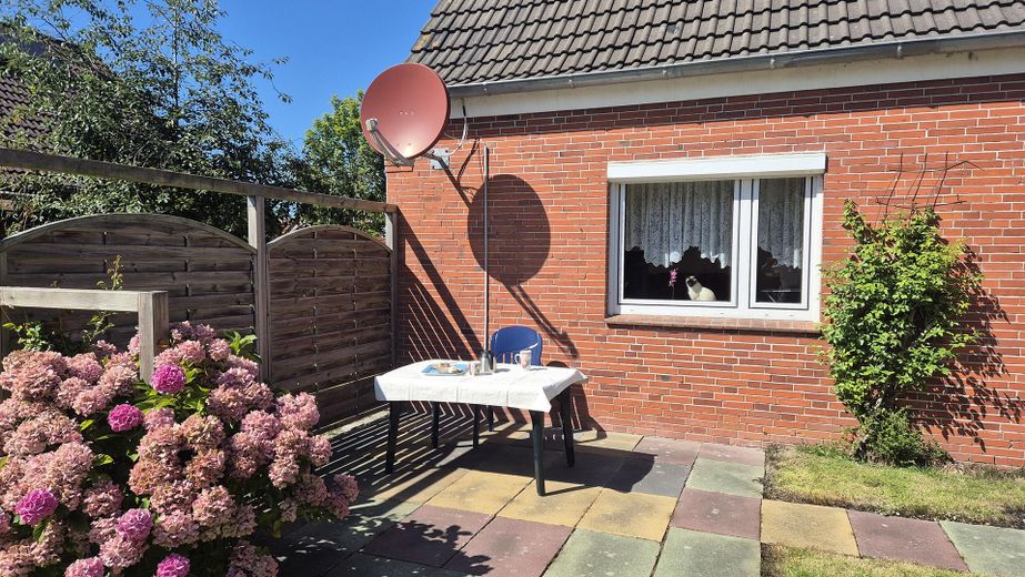 1. Terrasse