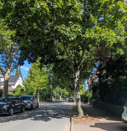 Charmant chez-soi ou investissement : emplacement central, sans commission – Bismarckstraße