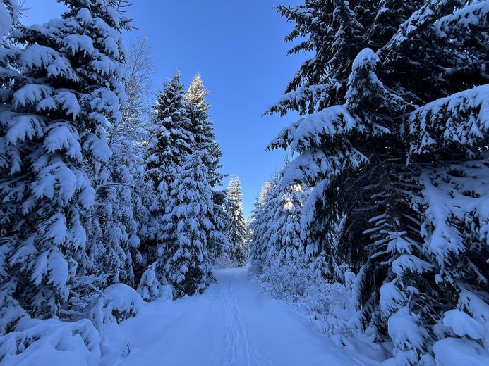 Haus auf 900 m ü NN am Auersberg im Erzgebirge – im Schnee