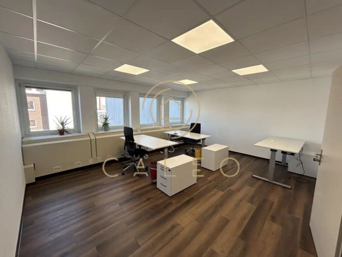 CALEO ¦ Biebrich ¦ 500 m² ¦ ab EUR 13,66/m² ¦ PROVISIONSFREI – Foto 1