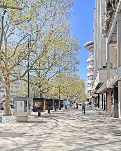 Nur 400 m zum Kurfürstendamm – provisionsfreies Erstbezugs-Apartment – Umgebung