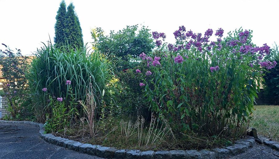 Two-family house – quiet and central with a garden paradise – Garten