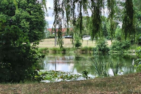 LANDELIJKE RUST ZONDER AFGELEGENHEID