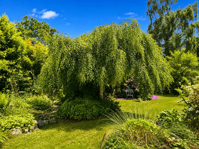 Gartenidylle mit Wintergarten-charmantes Einfamilienhaus zum Wohlfühlen in der Nähe von Langen – Schöner Garten!