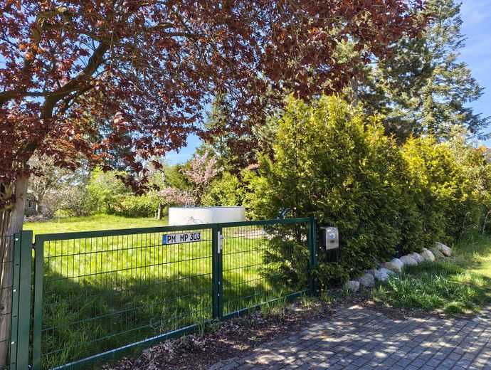 Straßenseite mit Tor und Hecke