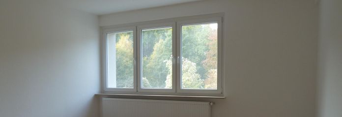 Großzügige Einraumwohnung mit Küche, Diele und Bad im Topzustand – Wohnzimmer