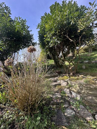 Exklusive Familienoase in naturnaher Lage – neuwertiges Wohnen auf höchstem Niveau – Garten
