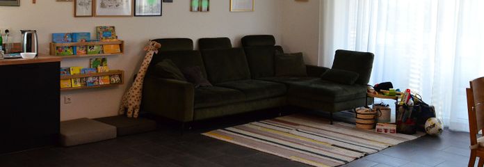 Wohnzimmer / Wohnküche