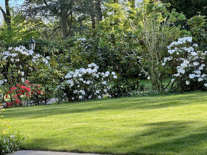 Goßzügige Wohnung für 2 Personen auf dem Strampenhof im Herzen von Bad Bevensen – Gartenblick