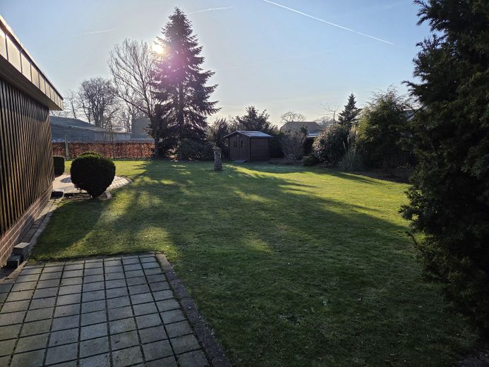 Blick in den größeren Garten