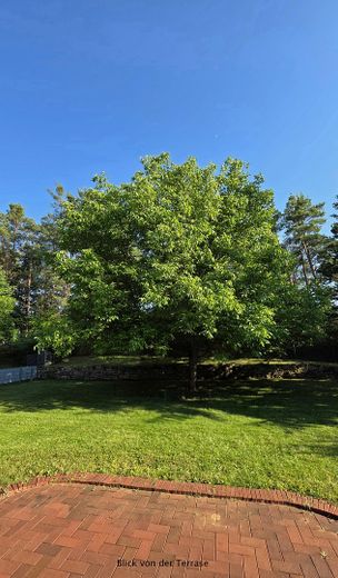 Due immobili versatili in un unico pacchetto /  È possibile anche la vendita separata! – Haus A - Garten