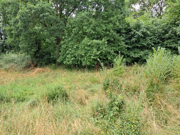 Ampio terreno centrale con area edificabile e positivo preavviso di costruzione a Hitzacker(Elbe) – Foto 3