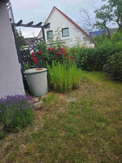 Garten 3