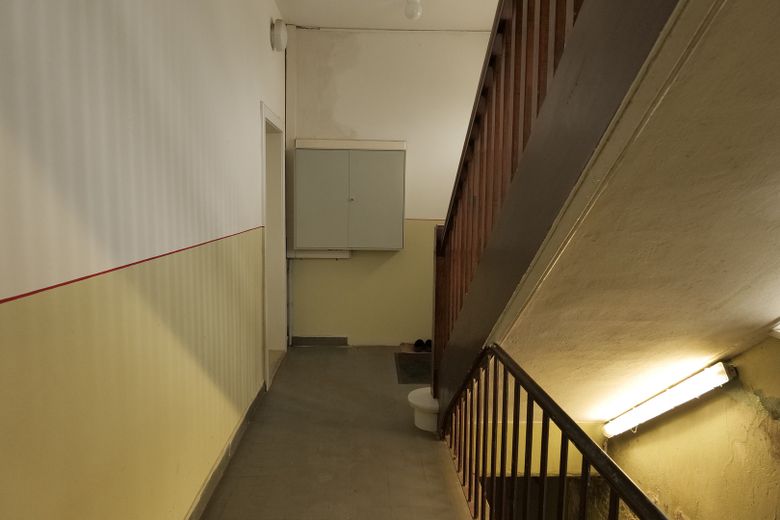 Loft+Wohnung+Dachrohling+Garten in Sagard/ Rügen – Flur mit Kellertreppe